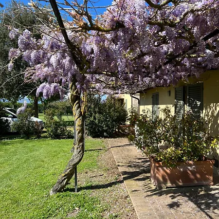 Residenza Isabella Guest House Spello Exterior photo